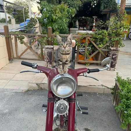 Rum i privatbostad Goezde Butik *